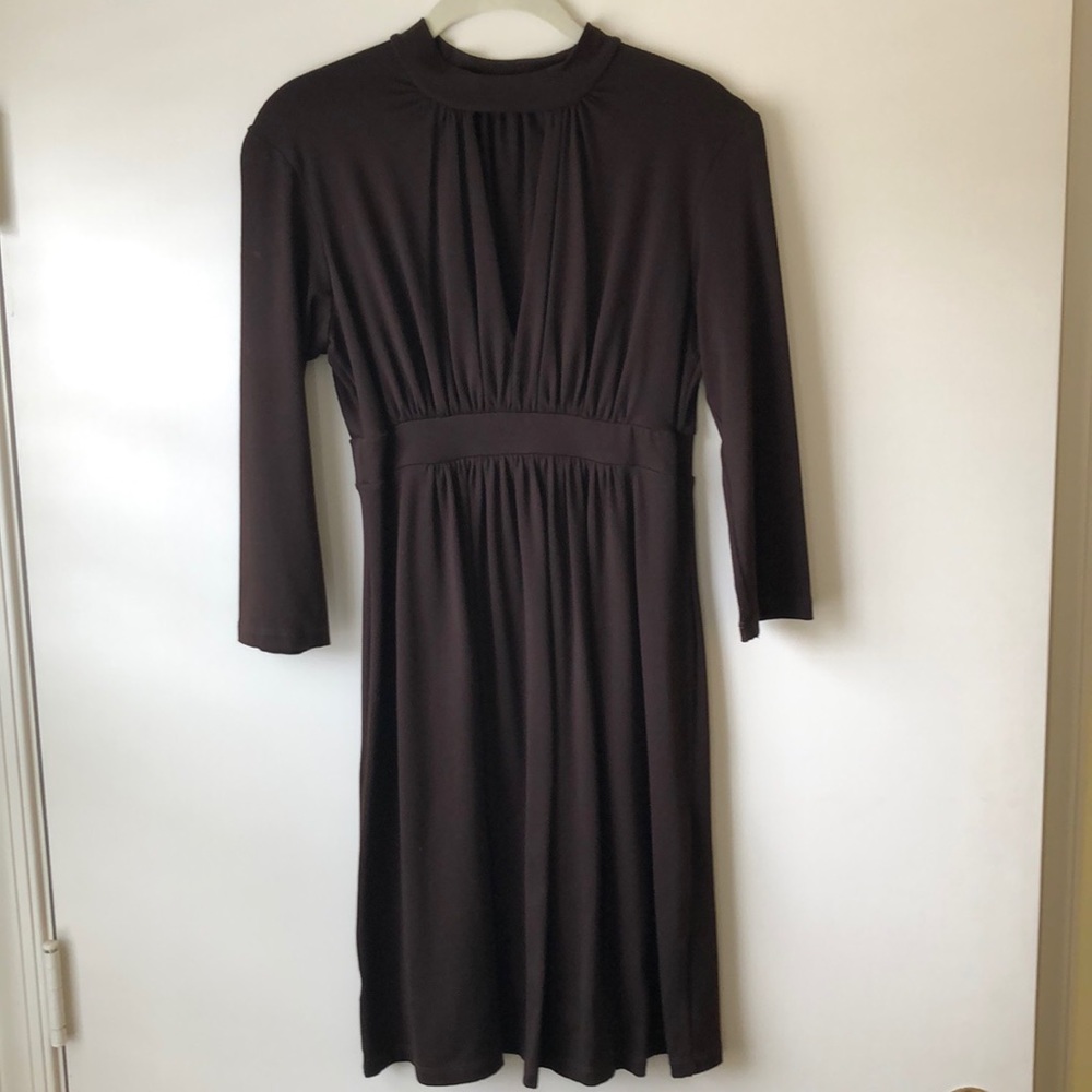 Susana Monaco brown dress